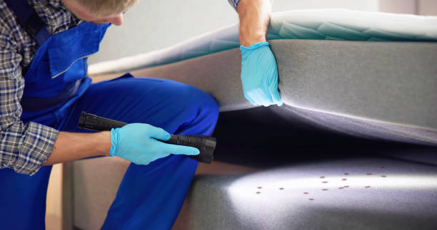 Best Cockroach Control Services  in , WV