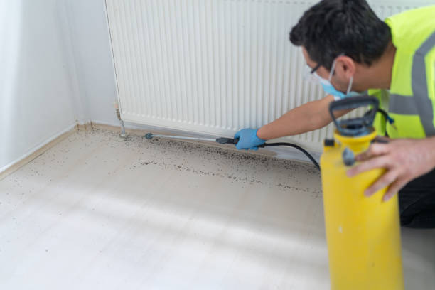 Best Termite Control Services  in , WV
